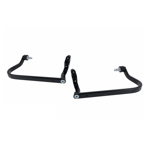 Daisy on the Ohoopee